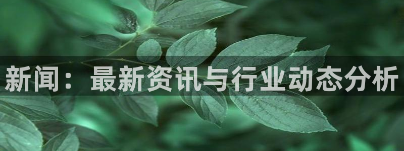 新闻：最新资讯与行业动态分析