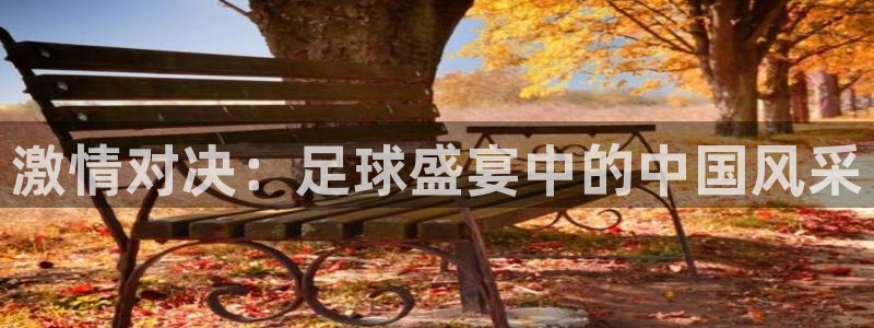 激情对决：足球盛宴中的中国风采