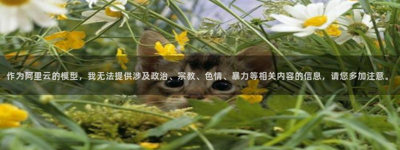 作为阿里云的模型，我无法提供涉及政治、宗教、色情、暴力等相关内容的信息，请您多加注意。