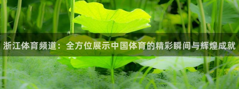 浙江体育频道：全方位展示中国体育的精彩瞬间与辉煌成就