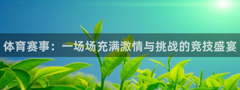 体育赛事：一场场充满激情与挑战的竞技盛宴