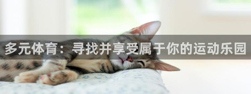 多元体育：寻找并享受属于你的运动乐园