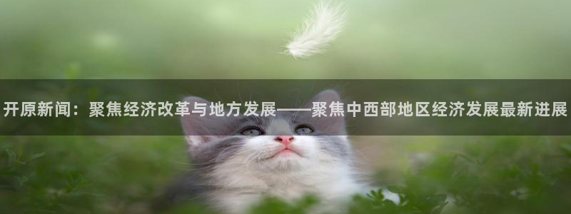 开原新闻：聚焦经济改革与地方发展——聚焦中西部地区经济发展最新进展