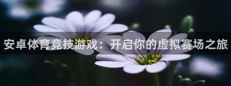 安卓体育竞技游戏：开启你的虚拟赛场之旅
