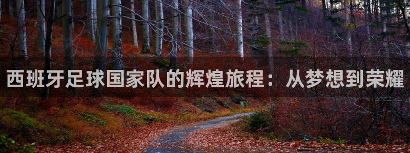 西班牙足球国家队的辉煌旅程：从梦想到荣耀