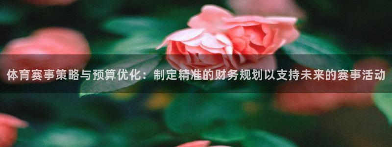 体育赛事策略与预算优化：制定精准的财务规划以支持未来的赛事活动