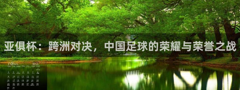 亚俱杯：跨洲对决，中国足球的荣耀与荣誉之战