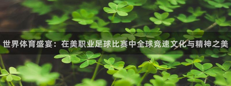 世界体育盛宴：在美职业足球比赛中全球竞速文化与精神之美