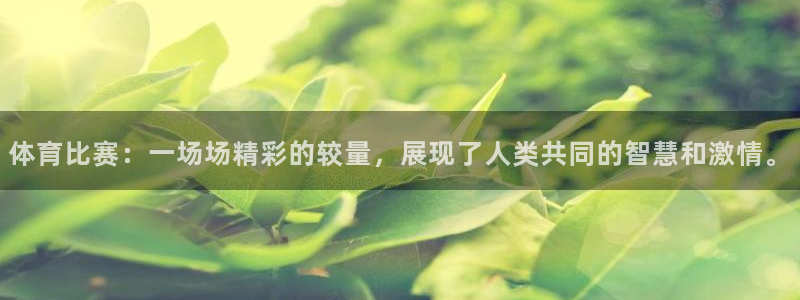 体育比赛：一场场精彩的较量，展现了人类共同的智慧和激情。