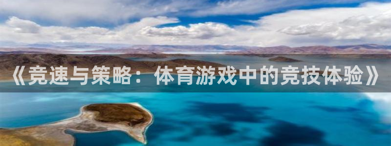 《竞速与策略：体育游戏中的竞技体验》