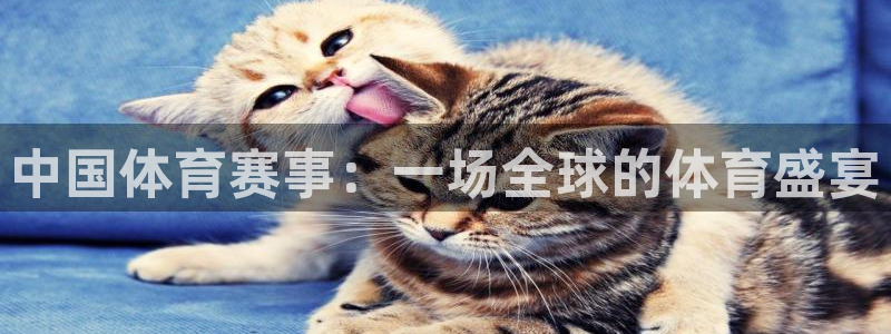 中国体育赛事：一场全球的体育盛宴