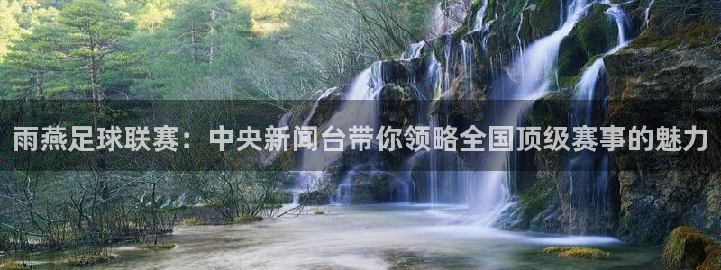 雨燕足球联赛：中央新闻台带你领略全国顶级赛事的魅力